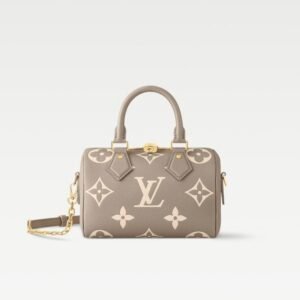 LOUIS VUITTON  NANO SPEEDY BAG